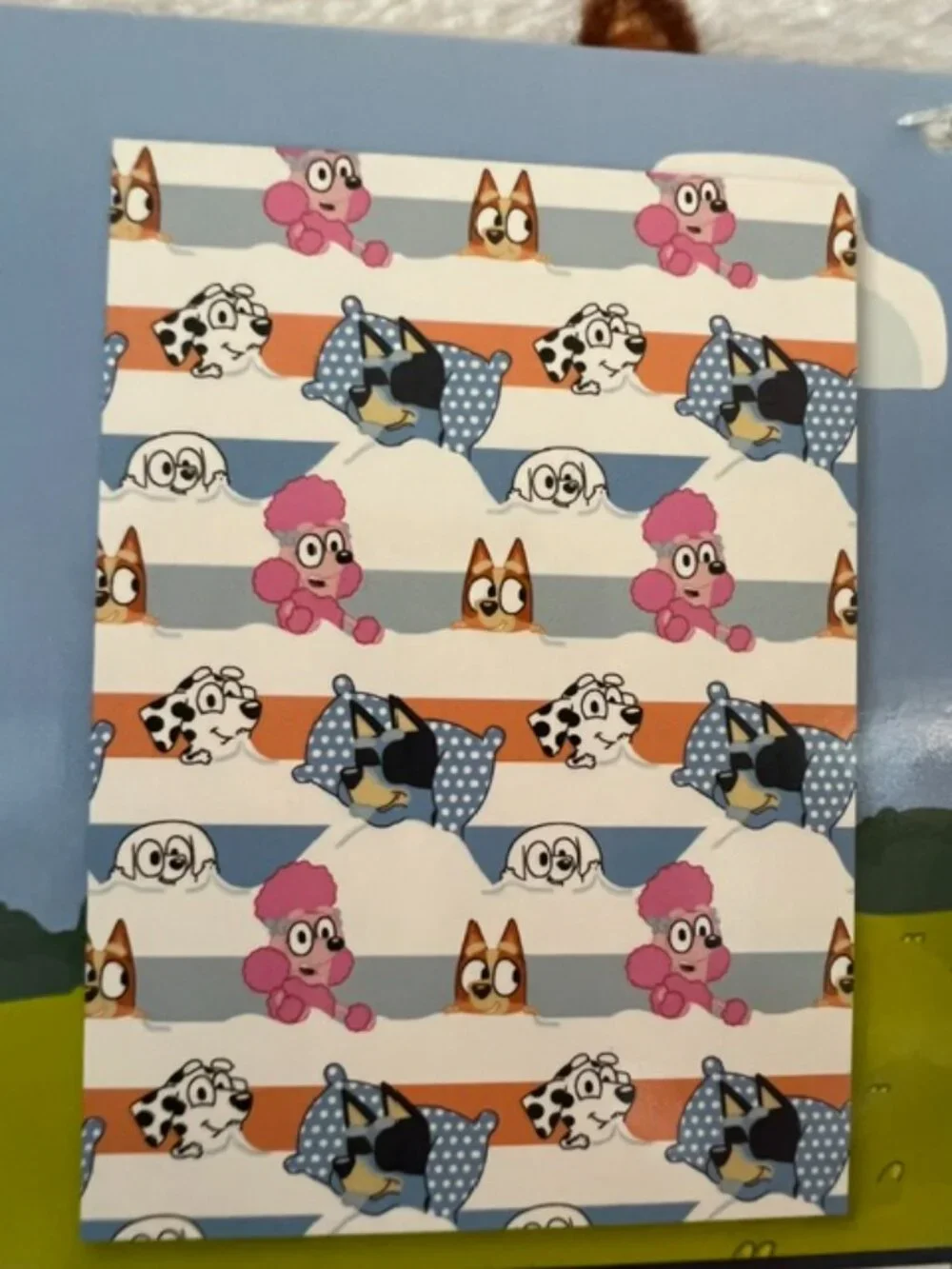 BLUEY SLEEPOVER BLANKET